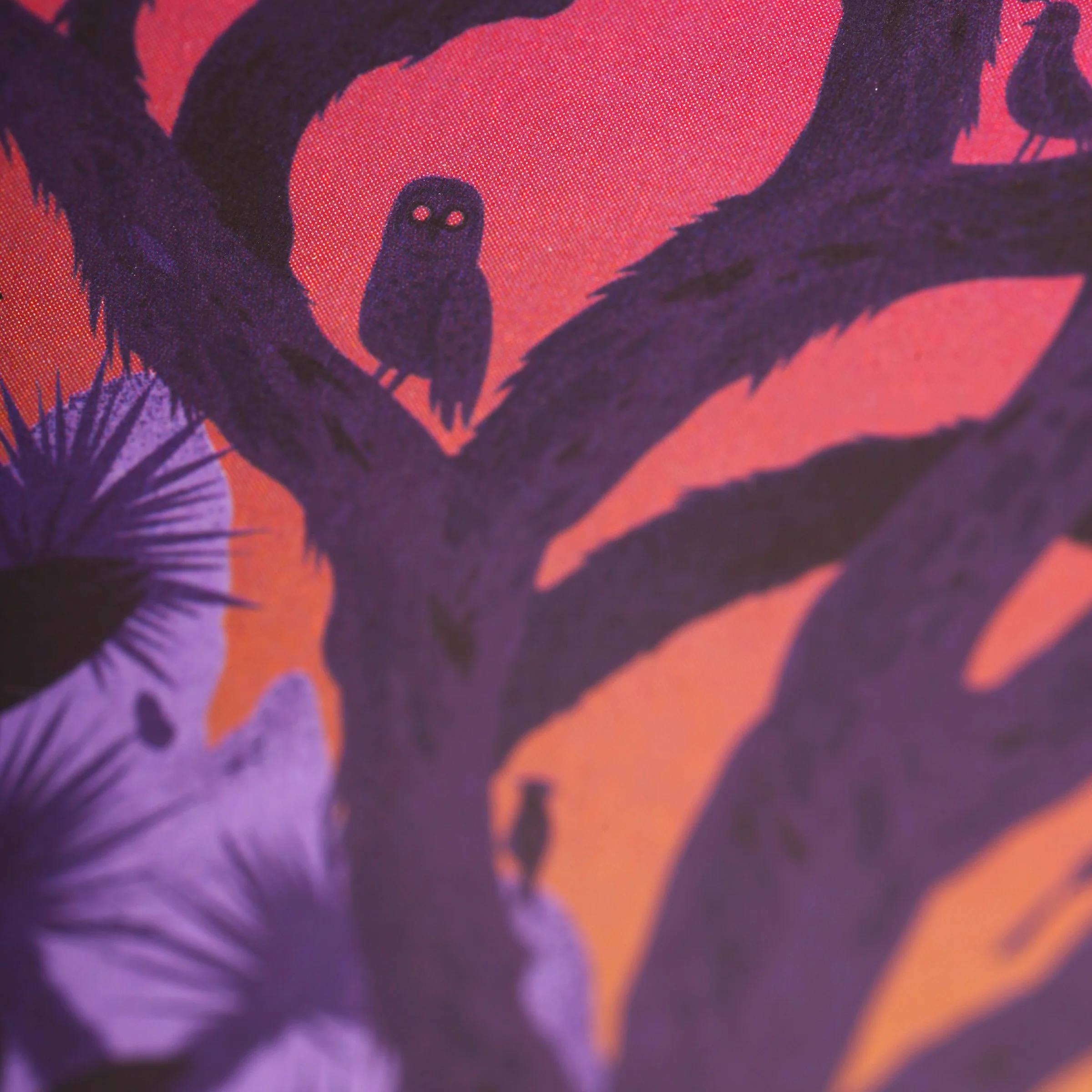 Thumbnail 23